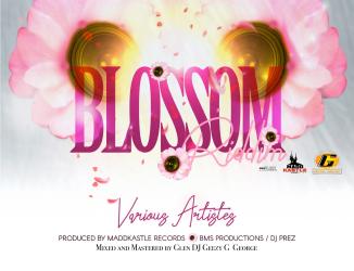 Blossom Riddim Collection