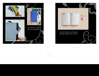 Executive Diary - A Wellness Diary