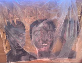 covered identity
