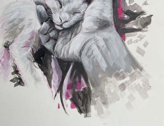 hand gently holding a sleeping cat's head
