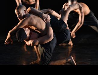 show "Sapiens"@cie Mounka2022
